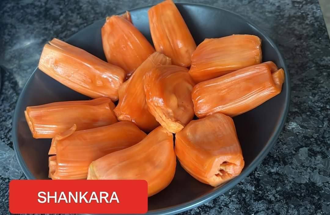 Shankara Jackfruit